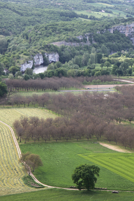 Plaines de Floirac dans le Lot