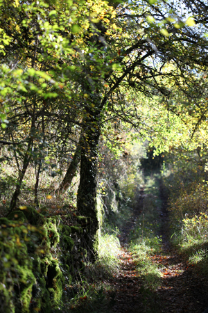 Chemins de randonnées Floirac Lot