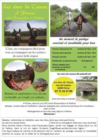 les ânes du Causse de Delphine