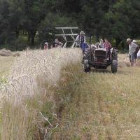 « Fête de la Moisson » des souvenirs et des traditions, floirac