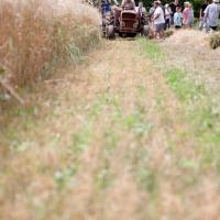 « Fête de la Moisson » des souvenirs et des traditions, floirac