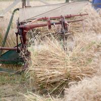 « Fête de la Moisson » des souvenirs et des traditions, floirac