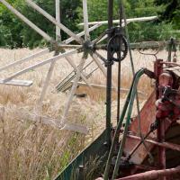 « Fête de la Moisson » des souvenirs et des traditions, floirac