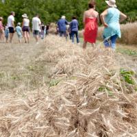 « Fête de la Moisson » des souvenirs et des traditions, floirac