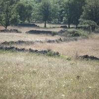 Causse de Floirac